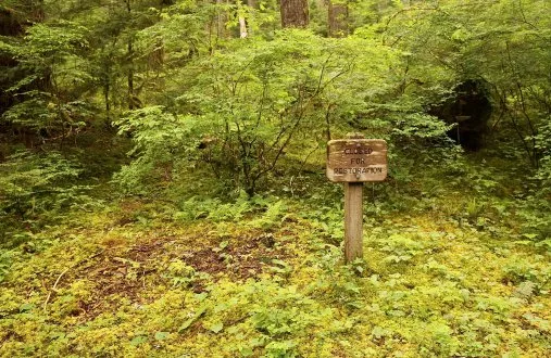 Recuperação de Área Degradada Rural
